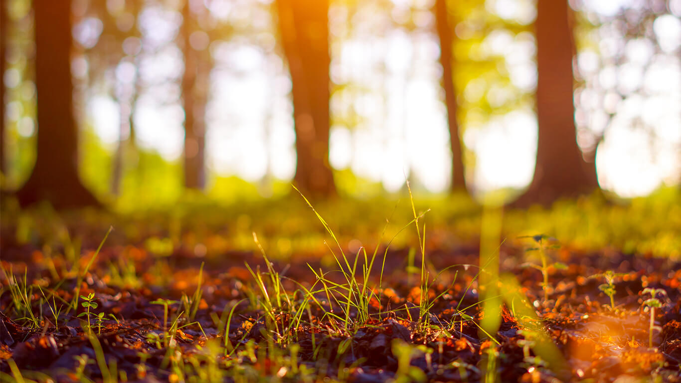 Web Design <br> Menagement slider.jpg