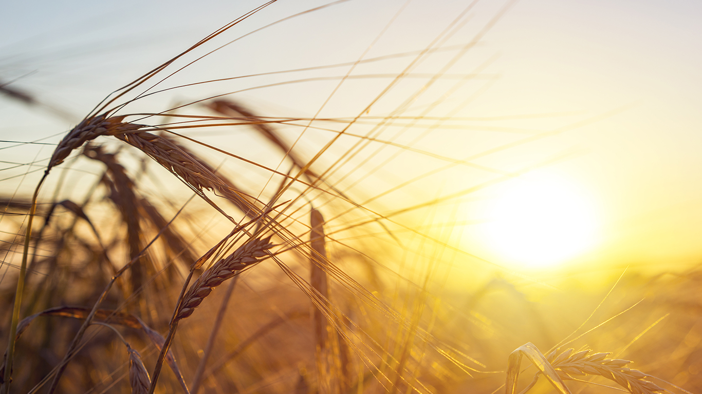 Web Design <br> Menagement slider5.jpg