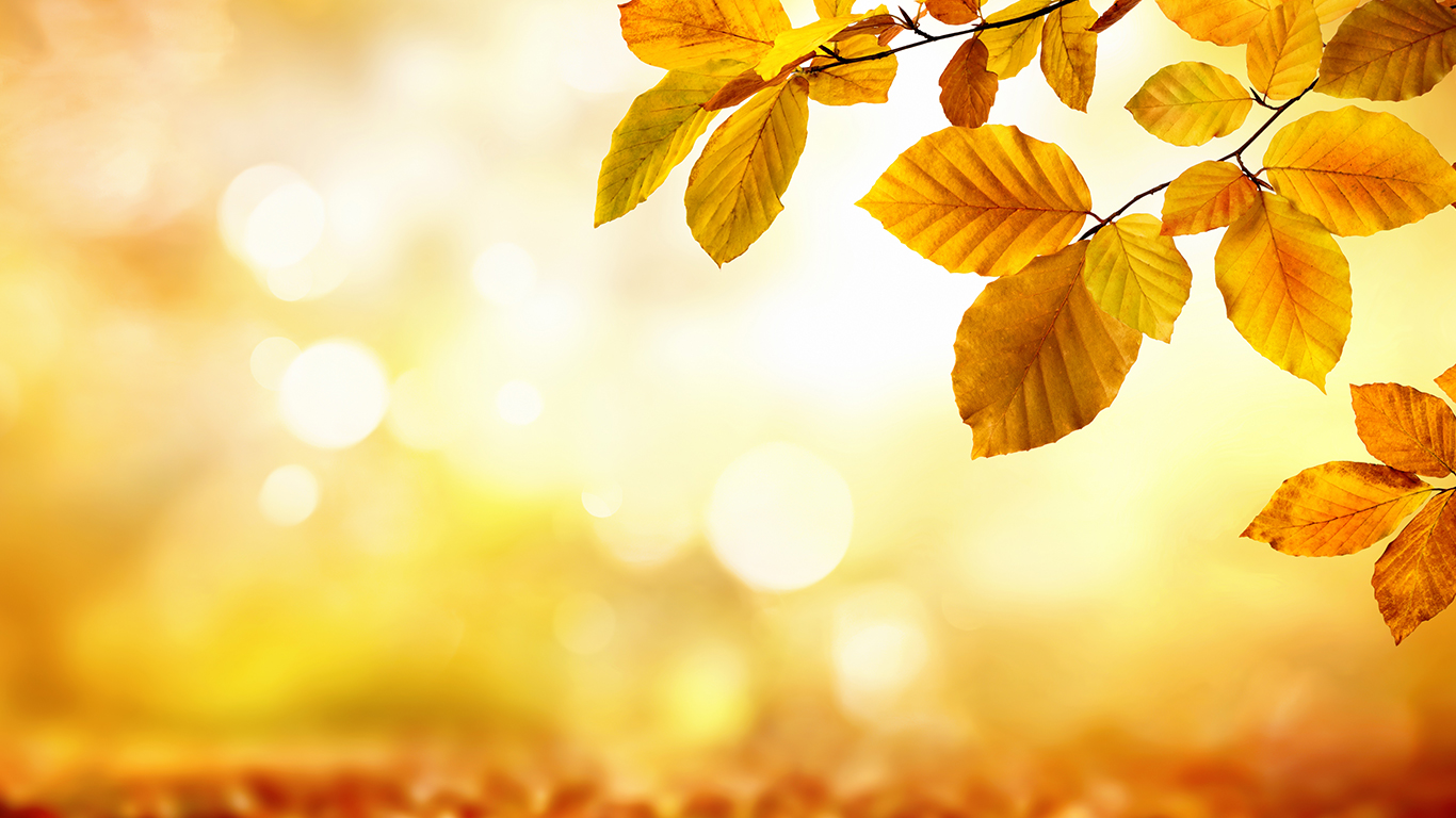 Web Design <br> Events slider4.jpg